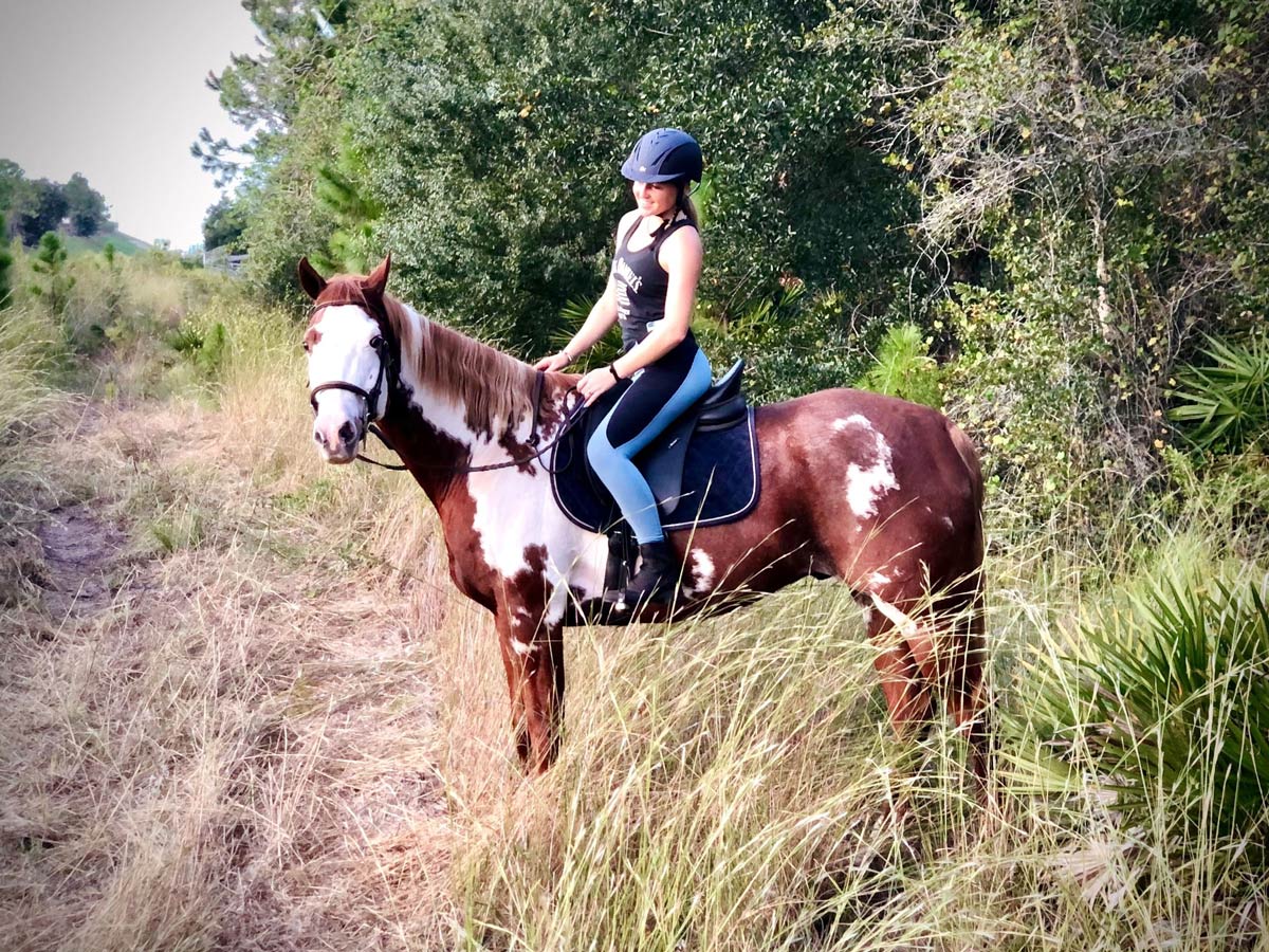 Trail ride with brown white horse at AAA equestrian